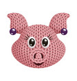 a head of funny knitted female pig toy on white vector image