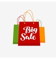 shopping logo big sale symbol or icon vector image