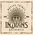 indians native american tribes colored vector image vector image
