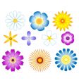 flowers set vector image