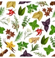 herbs and spices seamless pattern vector image