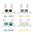 four seasons cute cat bunny faces set vector image