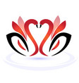 swans in love logo vector image