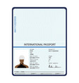 passport identification document vector image
