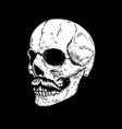 hand drawn human skull on dark background design vector image
