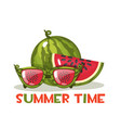 watermelon and glasses hello summer time vector image