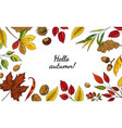 autumn leaves frame hand drawn botanical borders vector image