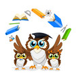 cheerful school owl vector image