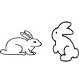 rabbit icon on white background vector image