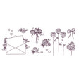set of floral design elements vector image vector image