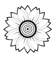 sunflower flower black and white on white vector image