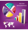 infographics 3d set vector image