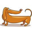 dachshund vector image