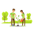 volunteers plant tree in city park people vector image
