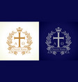 vintage church vector image