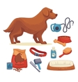 dogs set of accessories for vector image