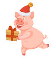 pig symbolic animal of 2019 christmas time vector image