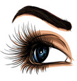 eye on white background woman the logo vector image