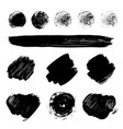 paint brush strokes texture vector image