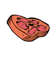 raw meat vector image vector image