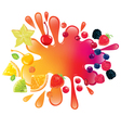 multifruit juice vector image