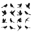 silhouette of birds2 vector image