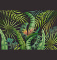 palm leaves background tropical summer jungle vector image vector image