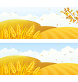 autumn crop banners vector image vector image